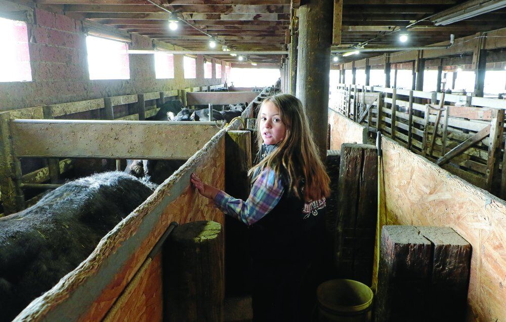 Platte Valley Livestock